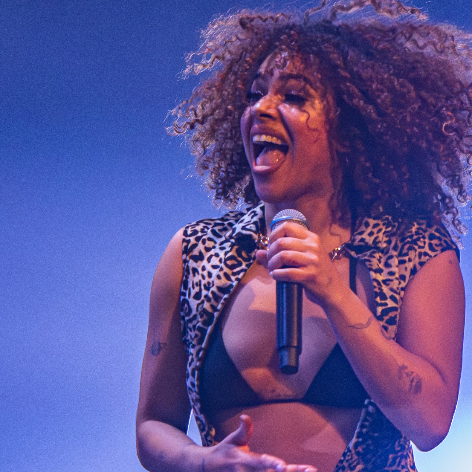 Mobirise Website Builder